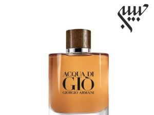 عطر ادکلن جورجیو آرمانی آکوا دی جیو ابسولو-Giorgio Armani Acqua Di Gio Absolu