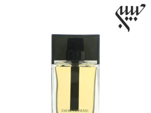 دیور هوم اینتنس-Dior Homme Intense