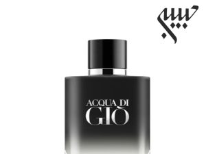 عطر جورجیو آرمانی آکوا دی جیو پارفوم | Giorgio Armani Acqua di Giò Parfum
