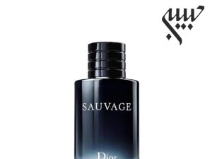 عطر ادکلن دیور ساواج-ساوج-ساواژ | Dior Sauvage