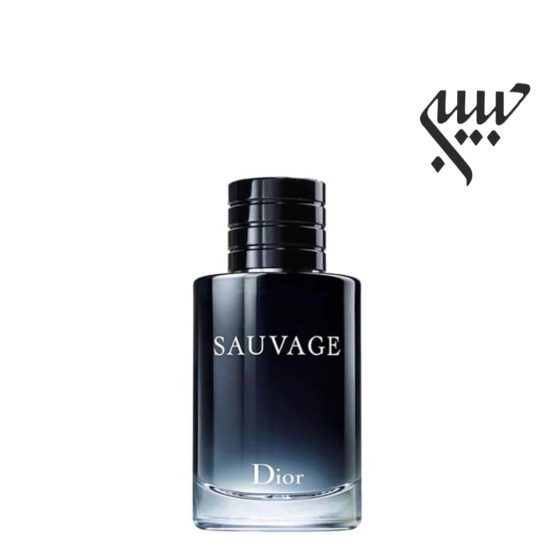 عطر ادکلن دیور ساواج-ساوج-ساواژ | Dior Sauvage