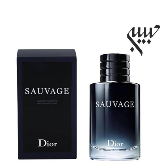 عطر ادکلن دیور ساواج-ساوج-ساواژ | Dior Sauvage