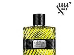 عطر ادکلن دیور او ساواج پرفیوم 2017-Dior Eau Sauvage Parfum 2017