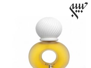 عطر ادکلن بیژن مردانه-Bijan for Man