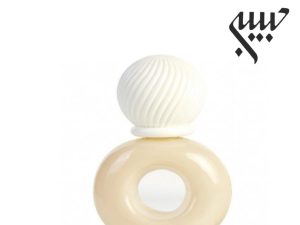 عطر ادکلن بیژن نود مردانه-Bijan Nude for men