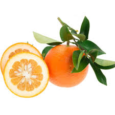 images 10