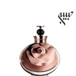 Valentino Assoluto  والنتینو اسولوتو