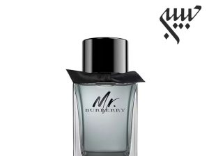 Burberry Mr. Burberry   باربری مستر باربری