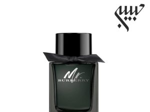 Burberry Mr. Burberry Eau de Parfum باربری مستر باربری ادو پرفیوم
